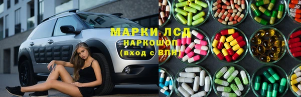 эйфоретик Аркадак